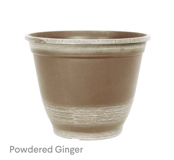 image of Forest Powdered Ginger Planter